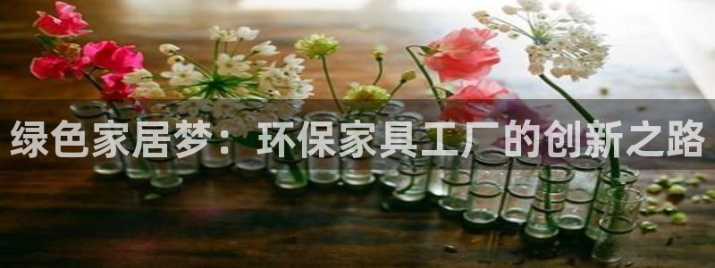 杏宇登入官网：绿色家居梦：环保家具工厂的创新之路