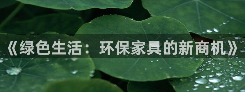 杏宇代理1980