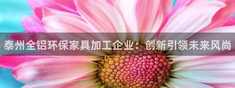 杏宇平台注册入口：泰州全铝环保家具加工企业：创新引领未来风尚