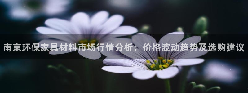 杏宇平台娱乐登陆：南京环保家具材料市场行情分析：价格波动趋势