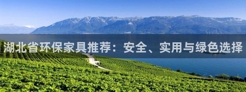 杏宇平台已7O777：湖北省环保家具推荐：安全、实用与绿色选
