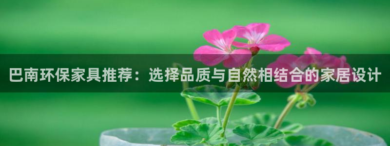 杏宇平台代理注册多少钱：巴南环保家具推荐：选择品质与自然相结