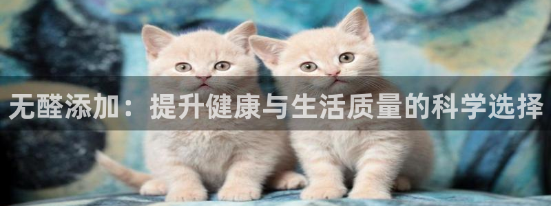 杏宇平台怎么样