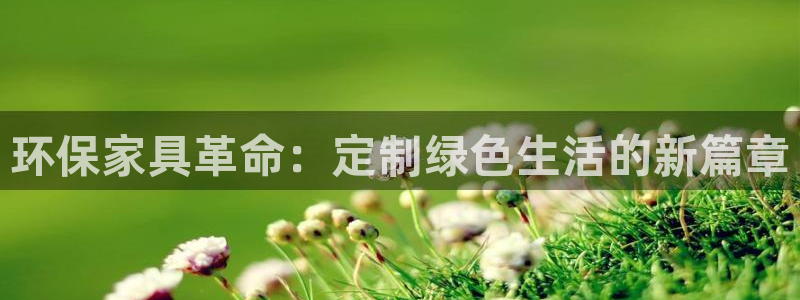 杏宇平台代理注册多少钱：环保家具革命：定制绿色生活的新篇章