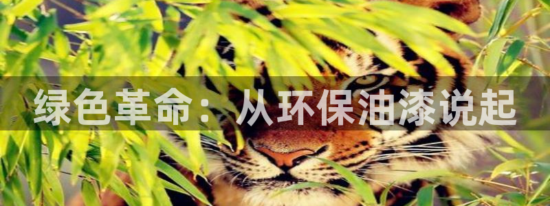 杏宇代理1980：绿色革命：从环保油漆说起